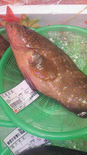 201011011021000.jpg
