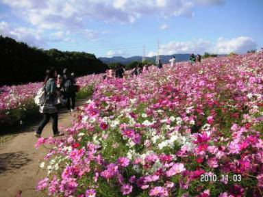PICT0003.JPG