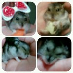 PicsArt_1351199711396 PicsArt_1351199711396.jpg