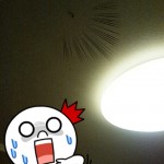 2013-10-07-01-48-50_deco 2013-10-07-01-48-50_deco.jpg