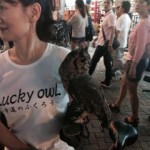 image01_2 image01_2.jpg