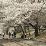 2457-1-60-1 2457-1-60-1.jpeg