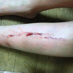 DSC_0162 DSC_0162.JPG