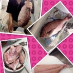 image00_3 image00_3.jpg