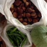 image00_8 image00_8.jpg