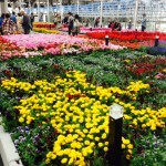 20141009_061018 20141009_061018.jpeg