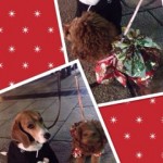 image00_4 image00_4.jpg