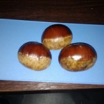 IMG00964.jpg