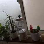 image1_3 image1_3.JPG