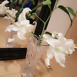 BeautyPlus_20170305203902_fast BeautyPlus_20170305203902_fast.jpg