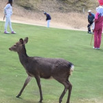 image00_11 image00_11.jpg