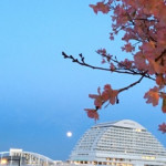 image00_8 image00_8.jpg