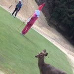 image01_7 image01_7.jpg