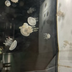 image12.jpeg