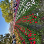 image1_2 image1_2.jpeg