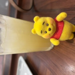 image0_9.jpeg
